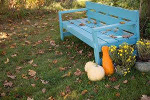 Here's an alt tag for the image: Blue bench in autumn garden.